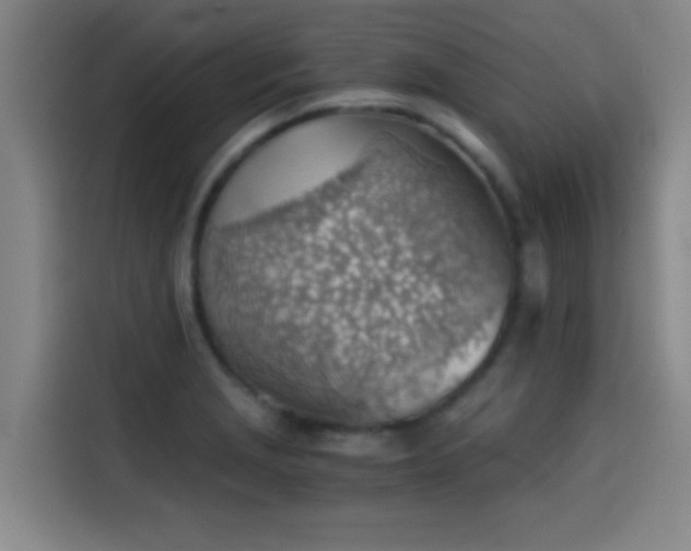 X0000114431229200910161328