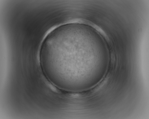 X0000114431230200910161328
