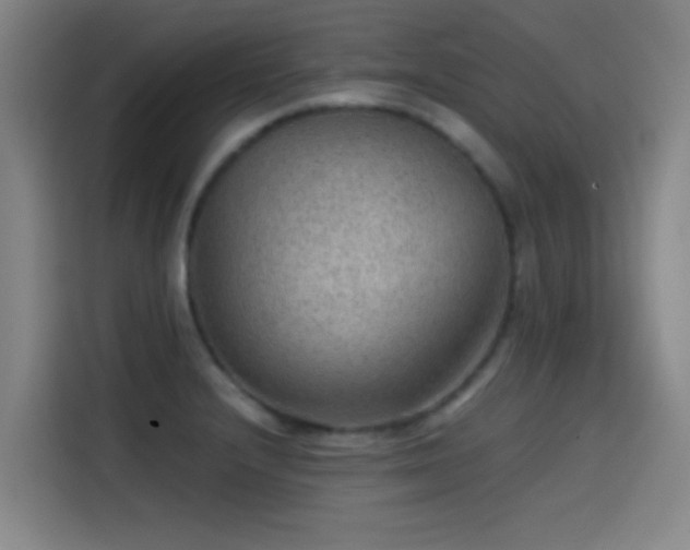 X0000114431232200910161328