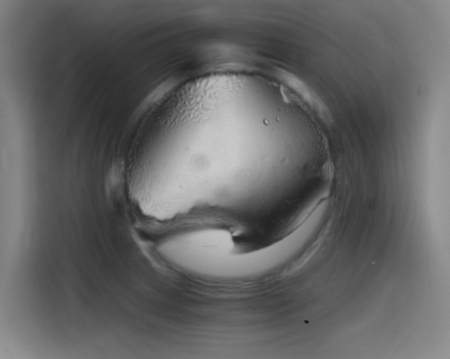 X0000114431233200910161328