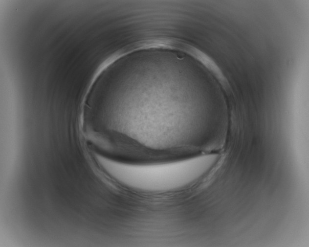 X0000114431234200910161328