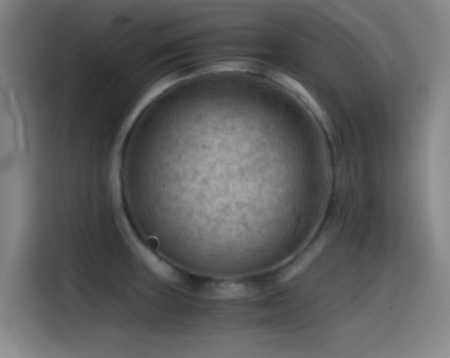 X0000114431235200910161328
