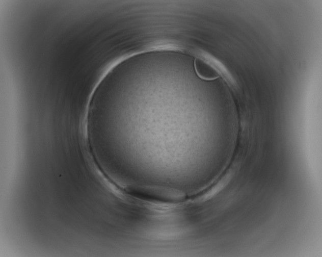 X0000114431236200910161328