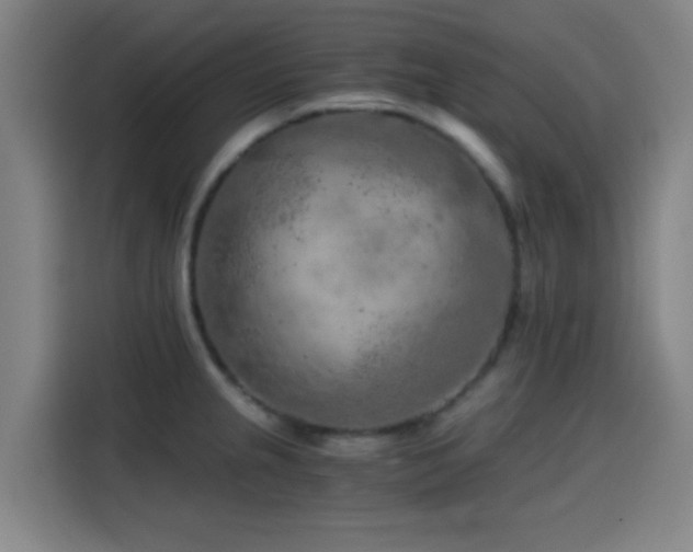 X0000114431237200910161328