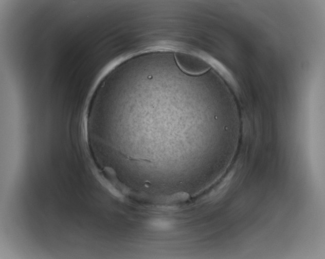X0000114431238200910161328