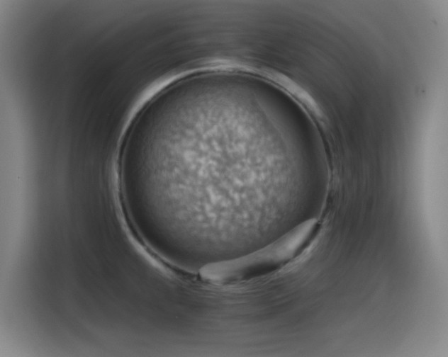 X0000114431239200910161328