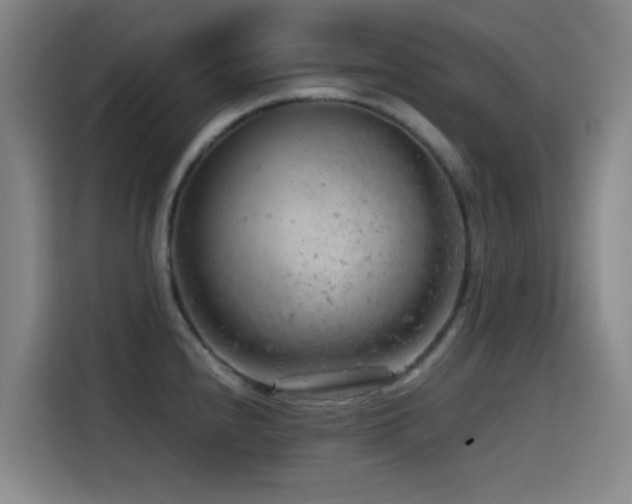 X0000114431240200910161328