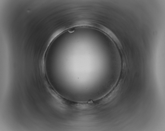 X0000114431242200910161328
