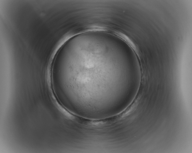 X0000114431243200910161328