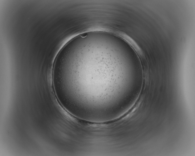 X0000114431244200910161329