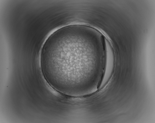 X0000114431246200910161329