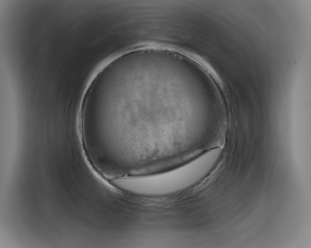 X0000114431247200910161329