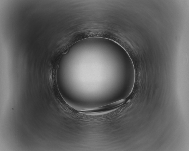 X0000114431250200910161328