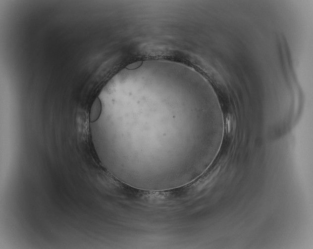 X0000114431251200910161328