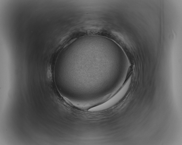 X0000114431252200910161328