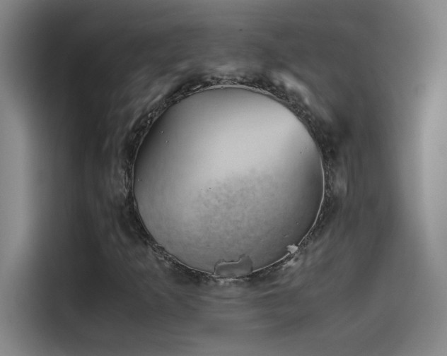 X0000114431253200910161328