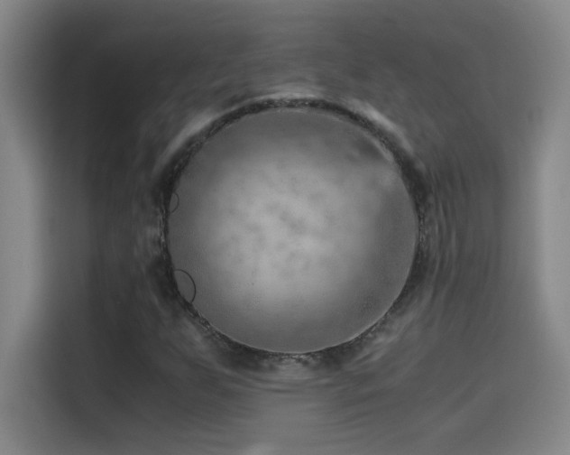 X0000114431255200910161328