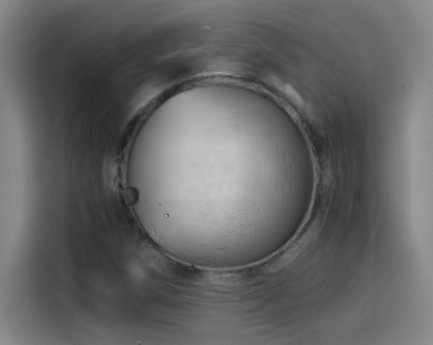 X0000114431258200910161328