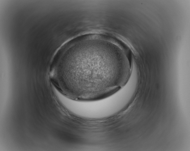 X0000114431260200910161328