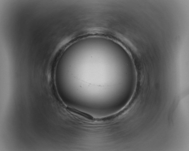 X0000114431261200910161328