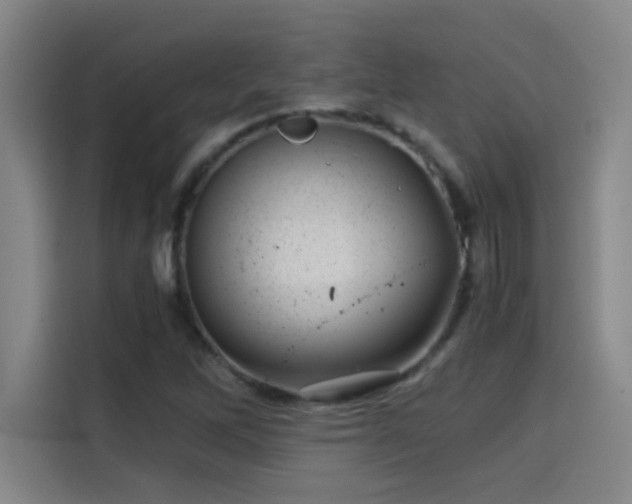 X0000114431262200910161328