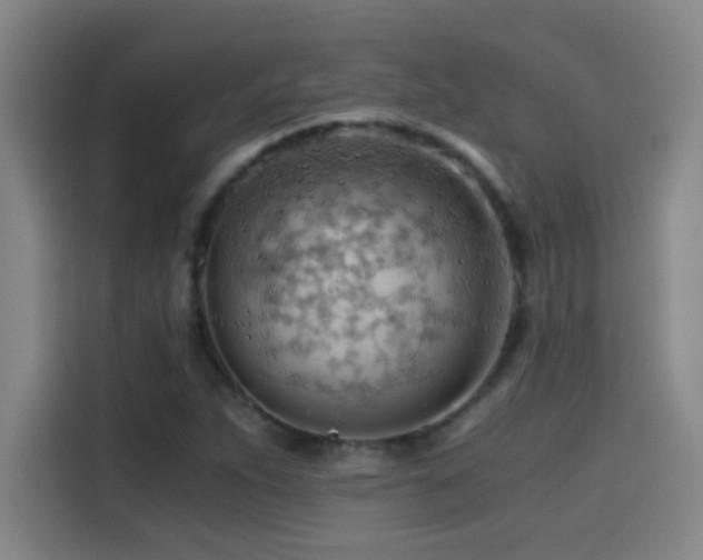 X0000114431263200910161328