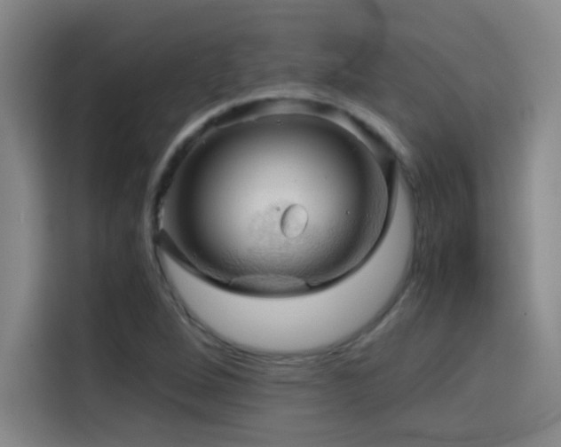 X0000114431264200910161328