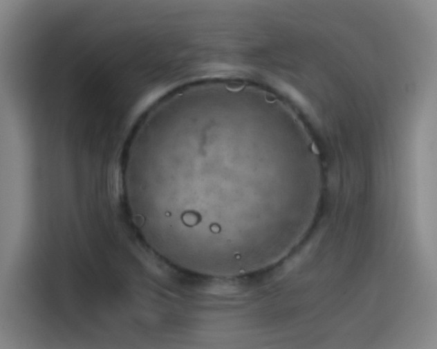 X0000114431267200910161328