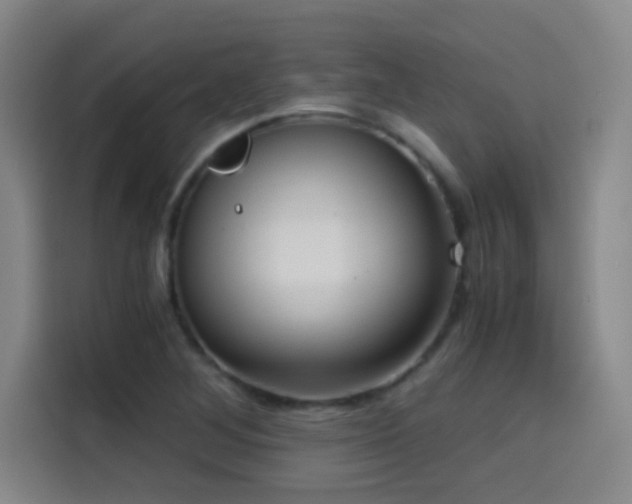 X0000114431268200910161328