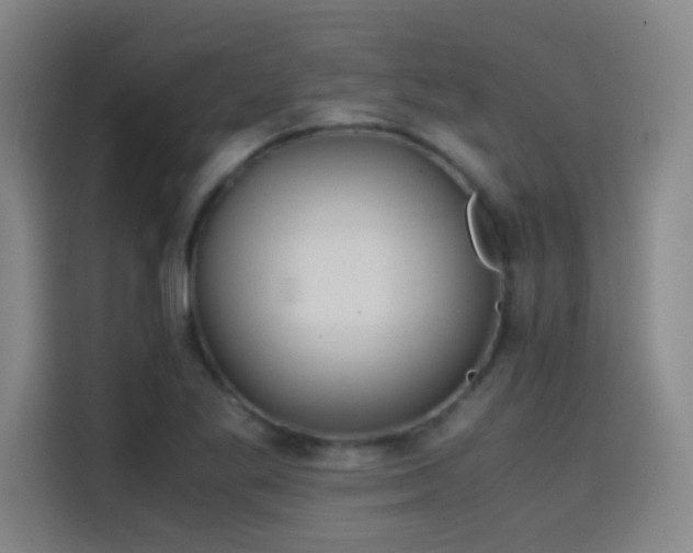 X0000114431269200910161328