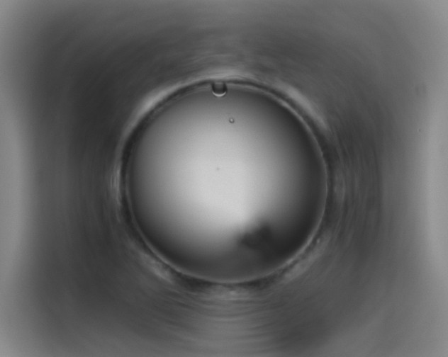 X0000114431270200910161328