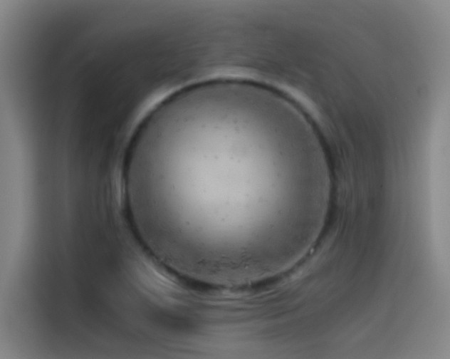X0000114431271200910161328