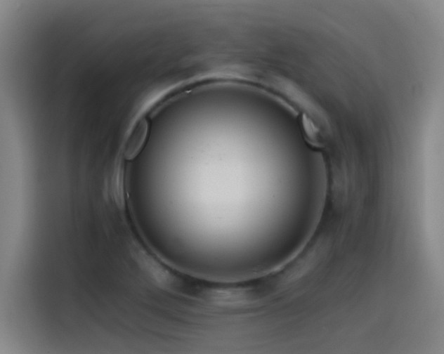 X0000114431272200910161328