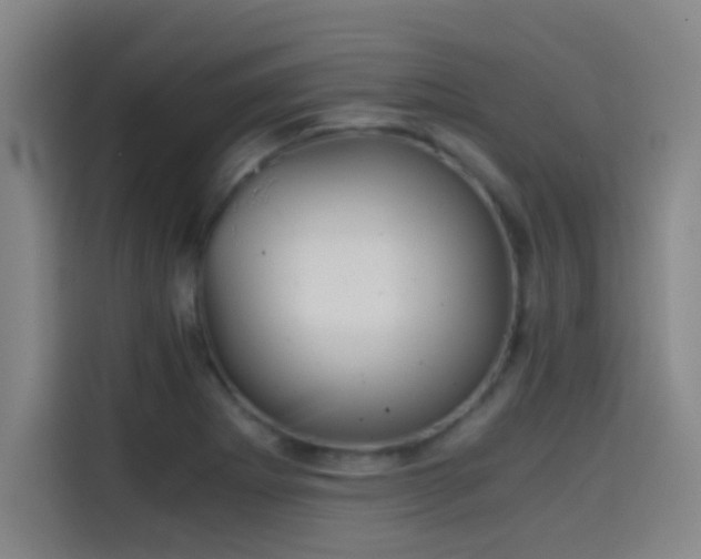 X0000114431273200910161328