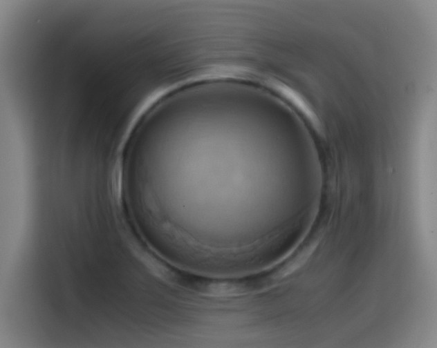 X0000114431275200910161328