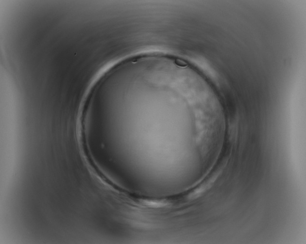 X0000114431279200910161328
