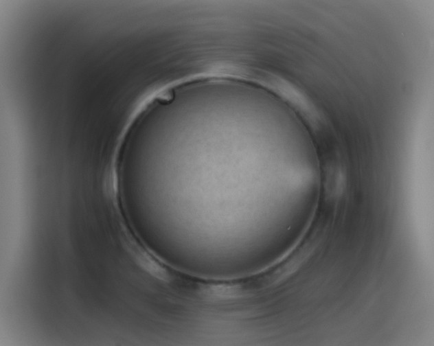 X0000114431280200910161328