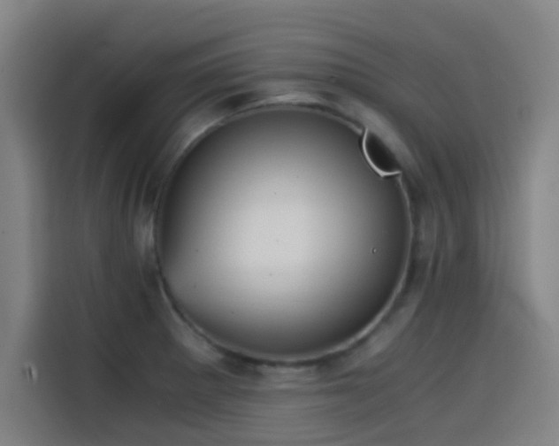 X0000114431281200910161328