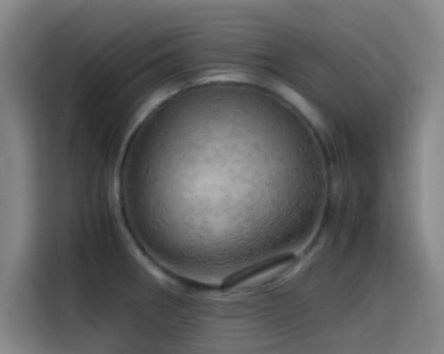 X0000114431282200910161327