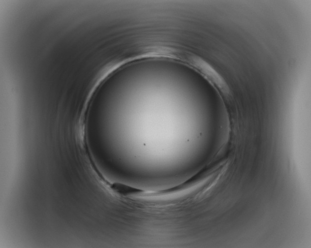 X0000114431284200910161327