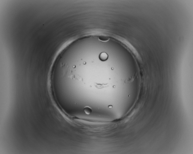 X0000114431285200910161327