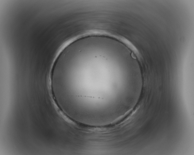 X0000114431287200910161327