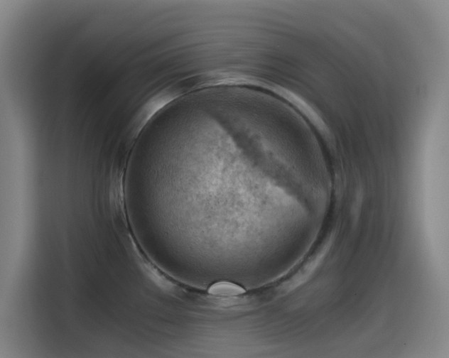 X0000114431289200910161327
