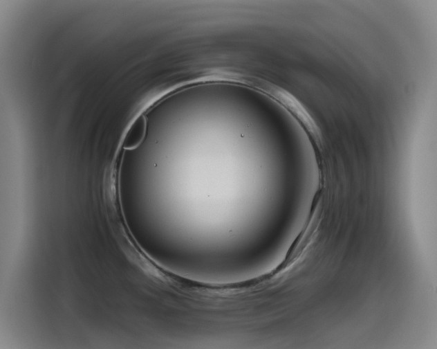 X0000114431292200910161327