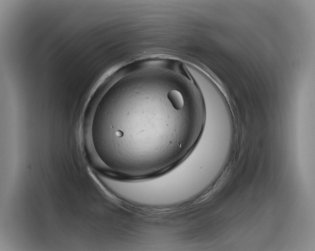 X0000114431293200910161327