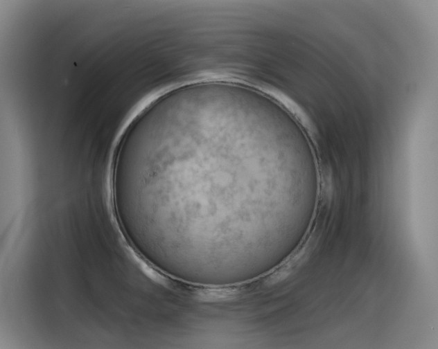 X0000114431294200910161327