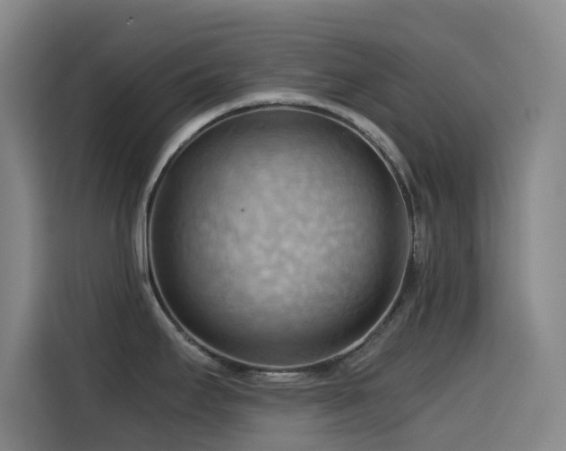 X0000114431295200910161327