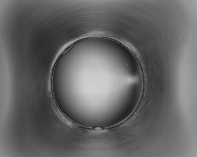 X0000114431296200910161327