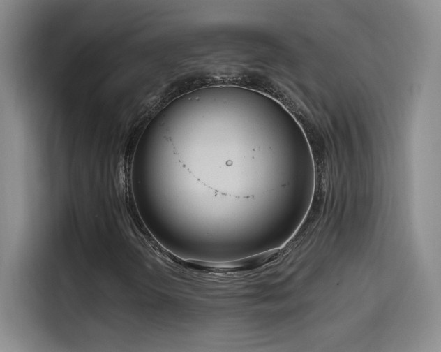 X0000114431298200910161327