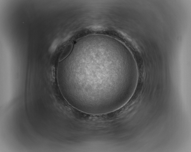 X0000114431301200910161327